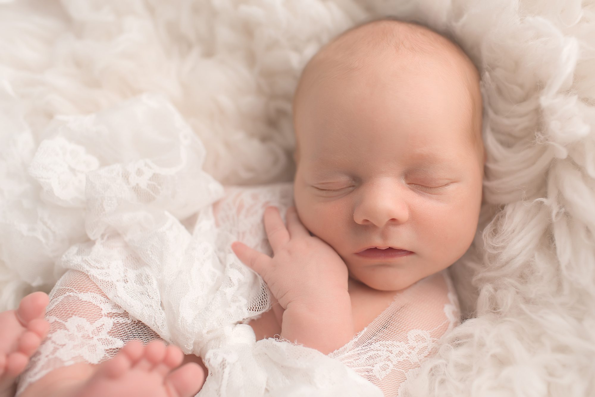 arlington newborn photographer