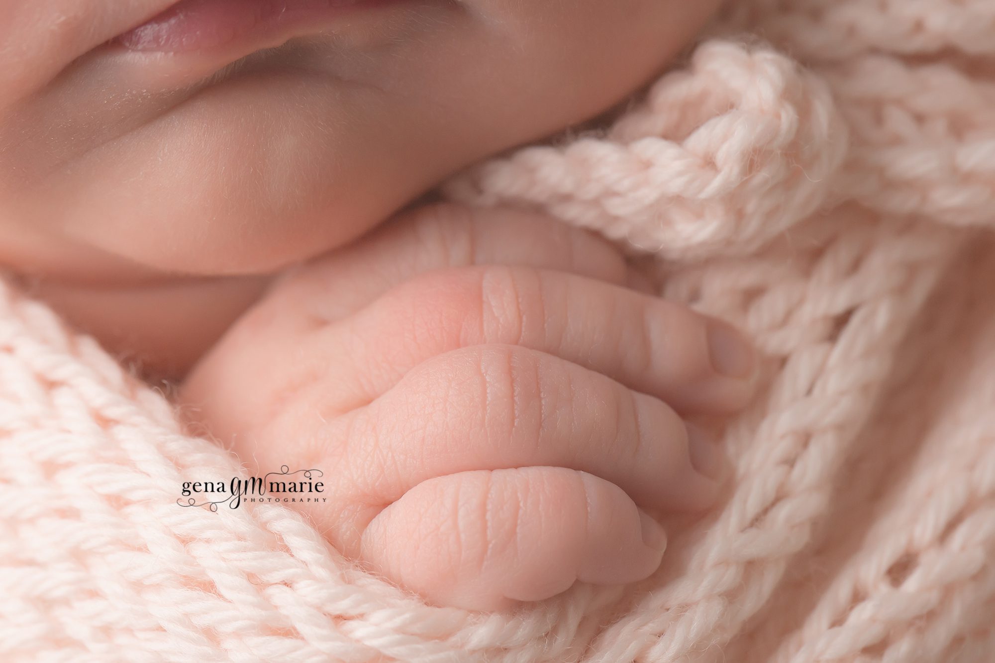 cute and plump { dc newborn photographer }