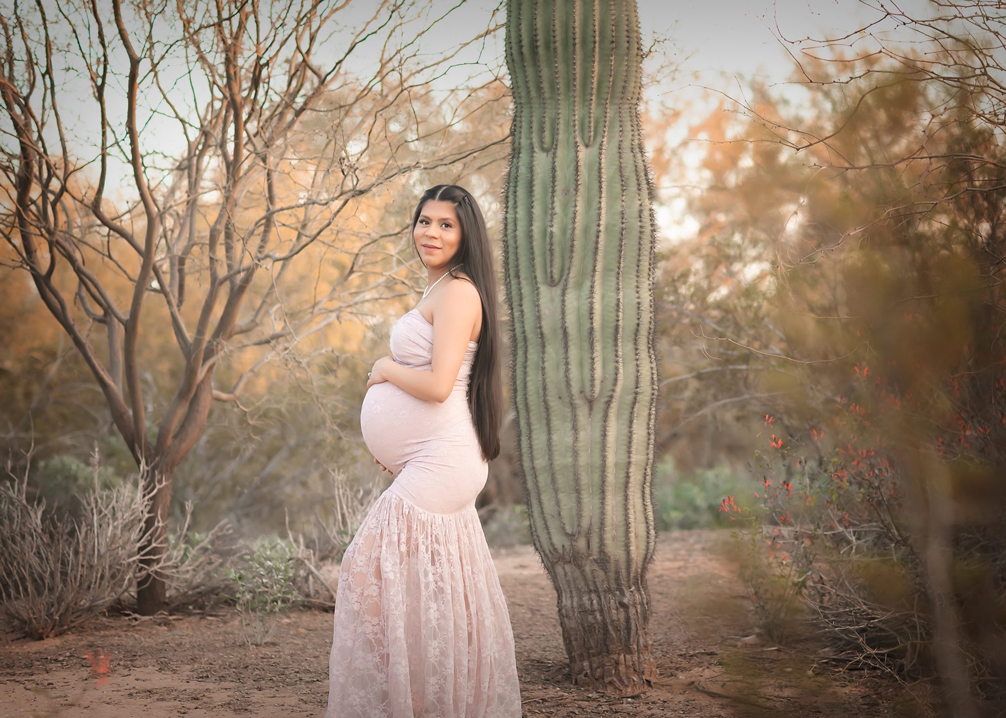 phoenix maternity photography, gilbert maternity portraits